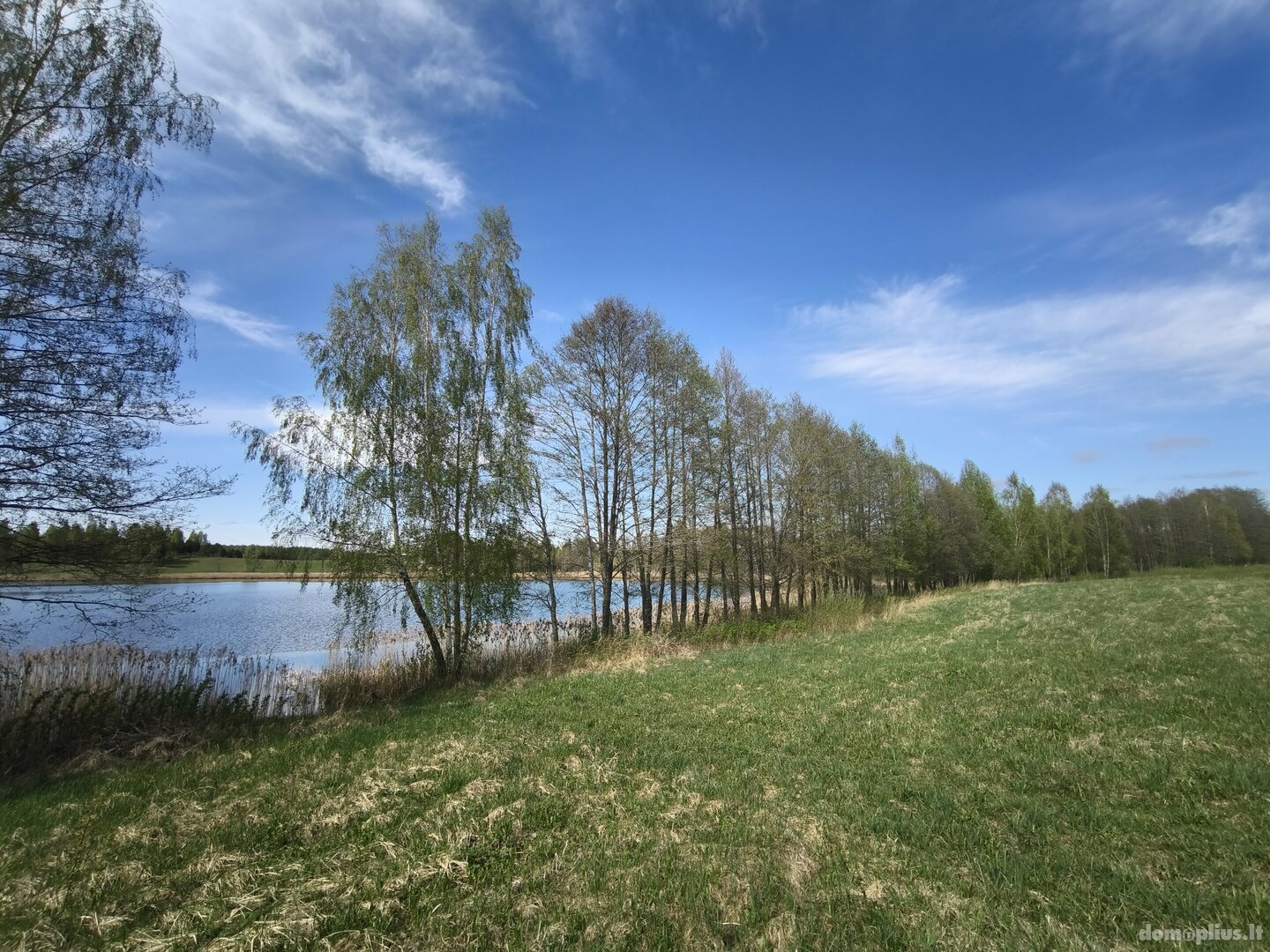 Parduodamas sklypas Molėtų rajono sav., Kazimieravoje