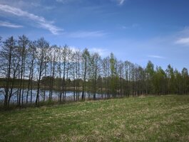 Parduodamas sklypas Molėtų rajono sav., Kazimieravoje