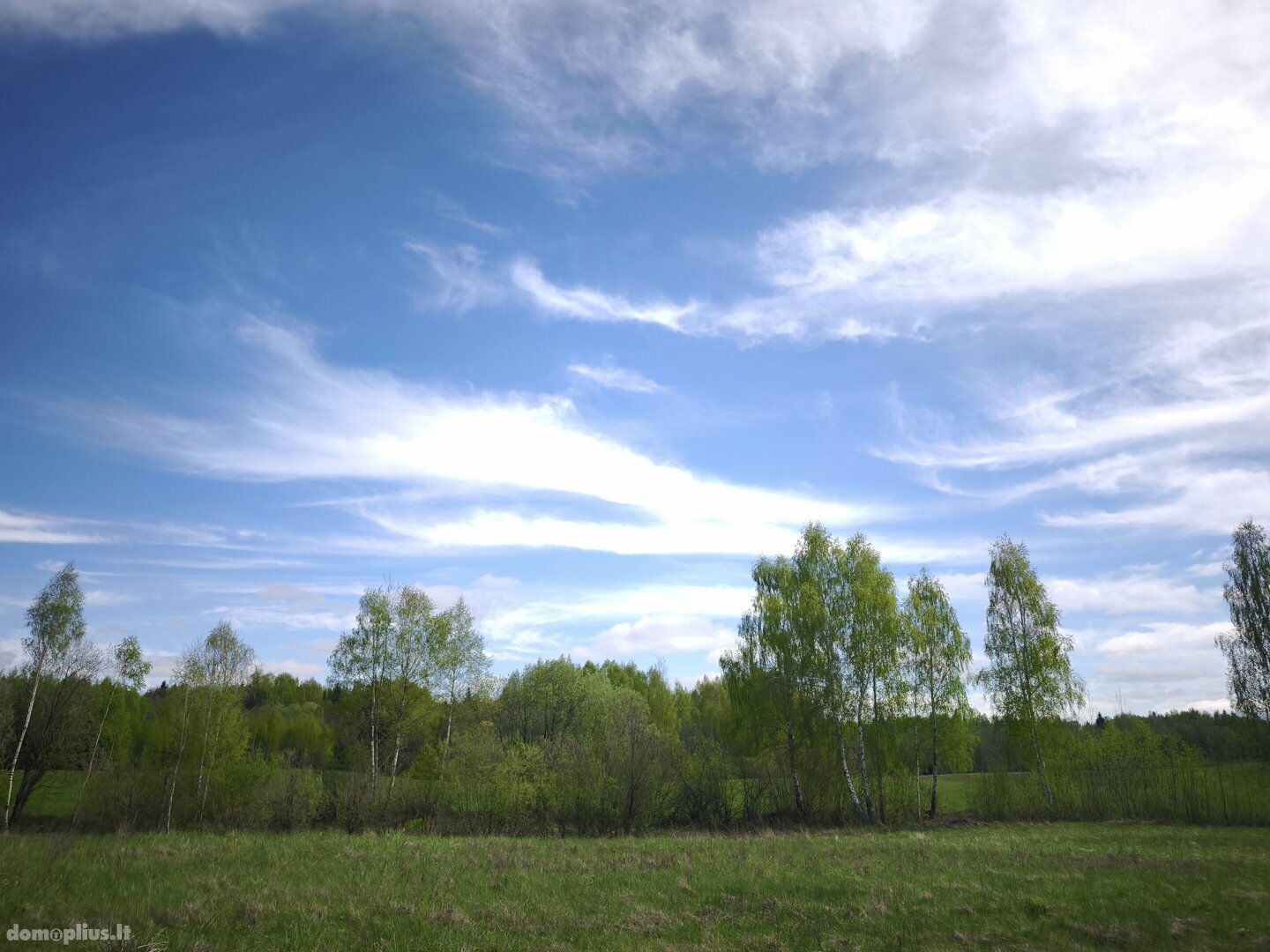 Parduodamas sklypas Molėtų rajono sav., Kazimieravoje