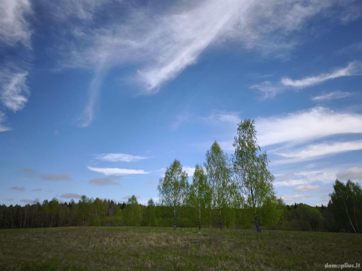 Parduodamas sklypas Molėtų rajono sav., Kazimieravoje