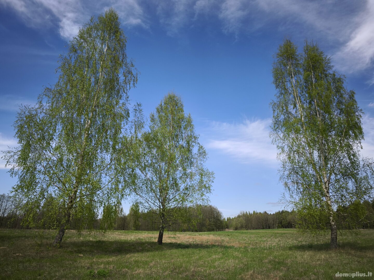 Parduodamas sklypas Molėtų rajono sav., Kazimieravoje