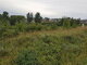 Parduodamas sklypas Alytaus rajono sav., Likiškėliuose, Punsko g. (10 nuotrauka)
