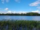 Parduodamas sklypas Ignalinos rajono sav., Limine (8 nuotrauka)