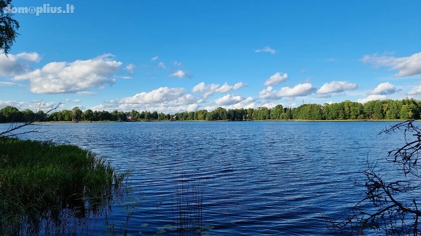 Участок Ignalinos rajono sav., Limine