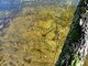 Parduodamas sklypas Ignalinos rajono sav., Limine (13 nuotrauka)
