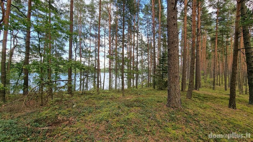 Участок Ignalinos rajono sav., Limine
