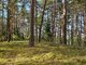 Parduodamas sklypas Ignalinos rajono sav., Limine (16 nuotrauka)