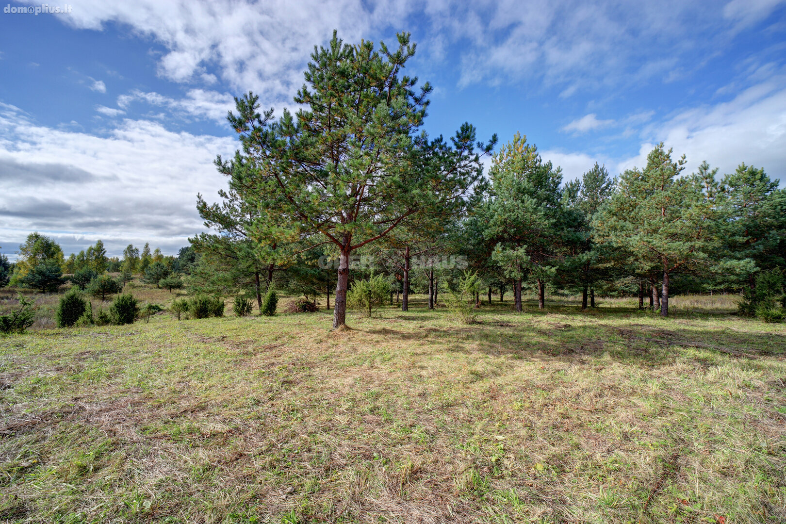 Land for sale Molėtų rajono sav., Grybėnuose