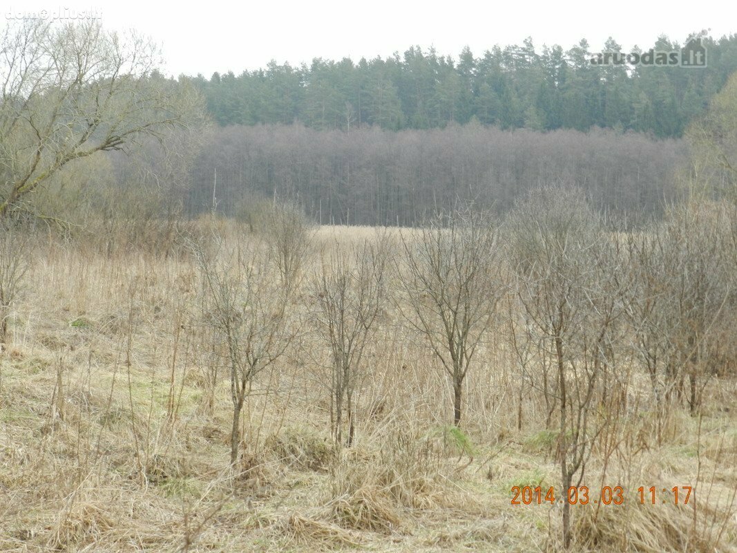 Land for sale Varėnos rajono sav., Jablanave