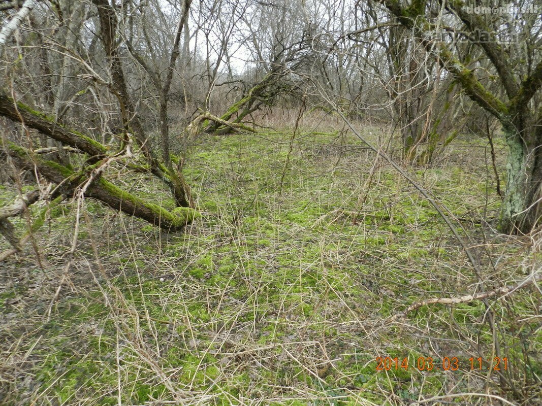 Land for sale Varėnos rajono sav., Jablanave