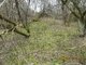 Parduodamas sklypas Varėnos rajono sav., Jablanave (14 nuotrauka)