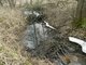 Parduodamas sklypas Varėnos rajono sav., Jablanave (16 nuotrauka)