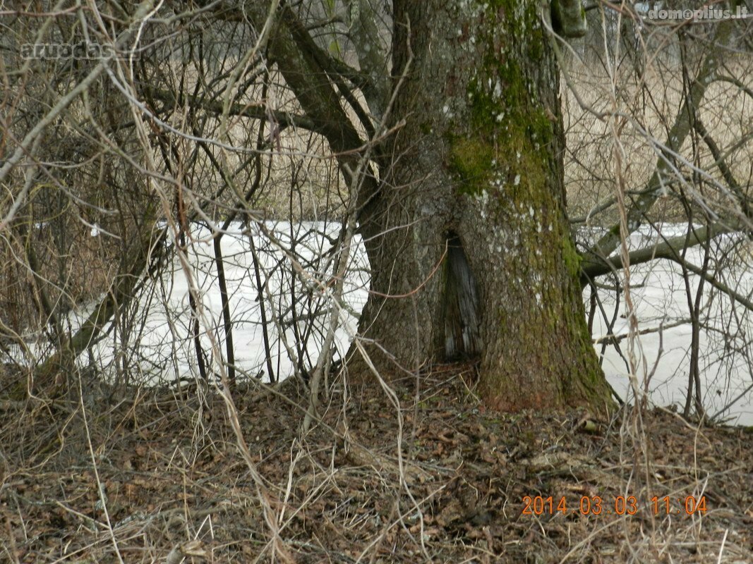 Land for sale Varėnos rajono sav., Jablanave