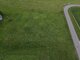 Land for sale Panevėžio rajono sav., Molainiuose (3 picture)