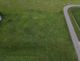 Parduodamas sklypas Panevėžio rajono sav., Molainiuose