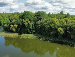 Parduodamas sklypas Ignalinos rajono sav., Bikėnuose