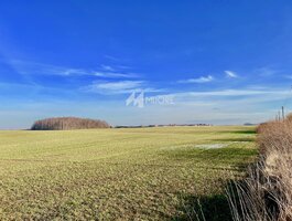 Parduodamas sklypas Klaipėdos rajono sav., Peskojuose, Rąžės g.