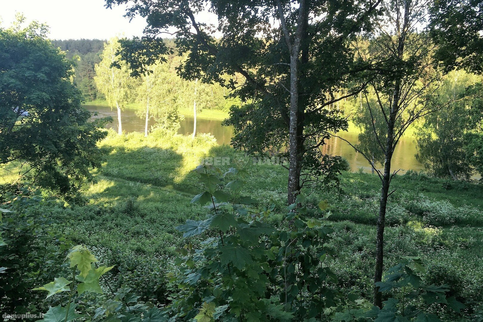 Parduodamas sklypas Vilniaus rajono sav., Joneikiškėse, Europos Parko g.