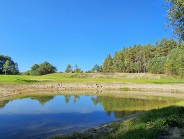Sklypas Švenčionių rajono sav., Baliuliuose, Baliulių g.