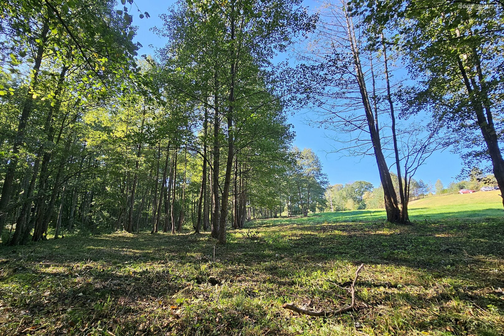Land for sale Švenčionių rajono sav., Baliuliuose, Baliulių g.