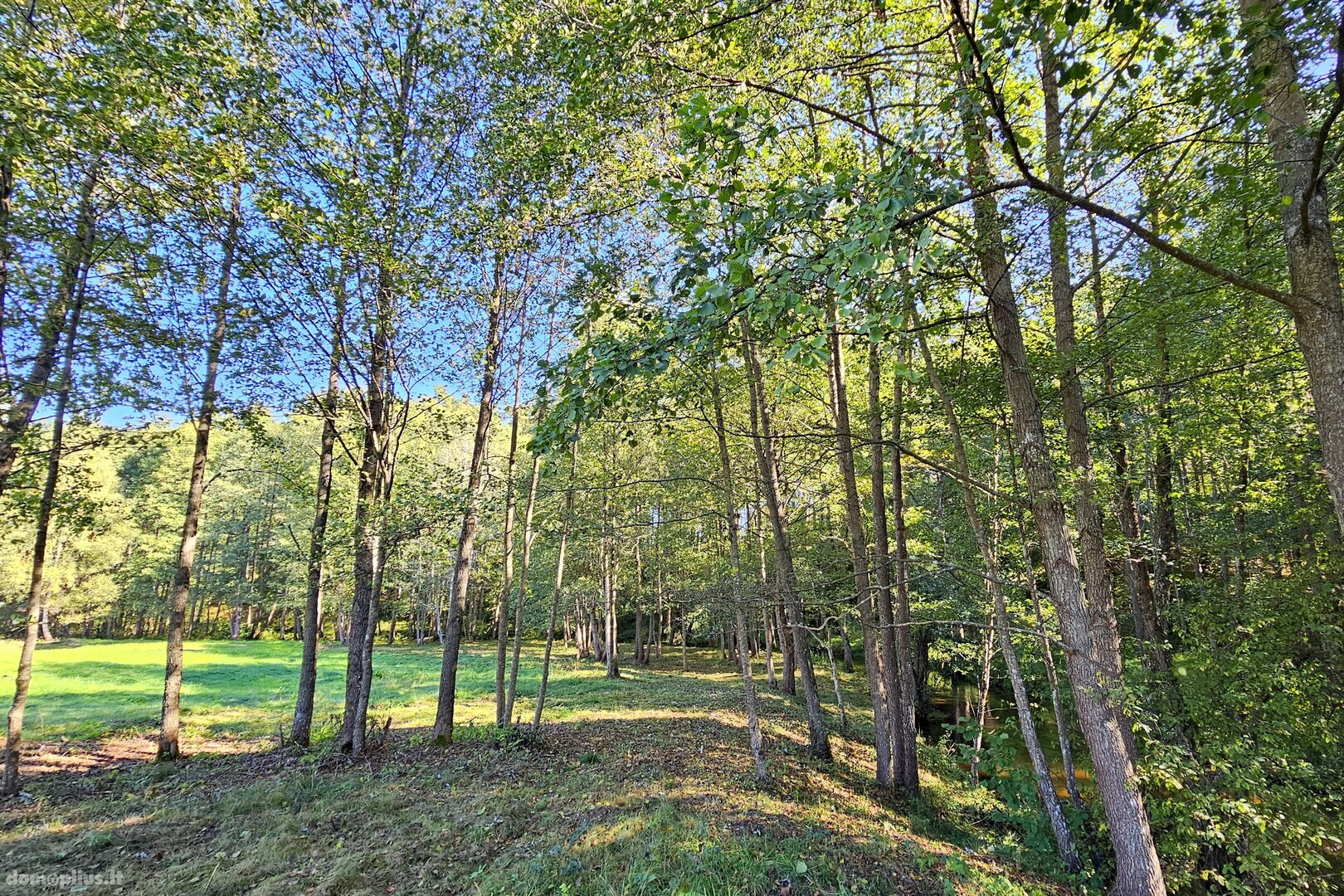 Land for sale Švenčionių rajono sav., Baliuliuose, Baliulių g.