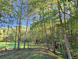 Land for sale Švenčionių rajono sav., Baliuliuose, Baliulių g.