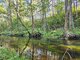 Parduodamas sklypas Švenčionių rajono sav., Baliuliuose, Baliulių g. (7 nuotrauka)