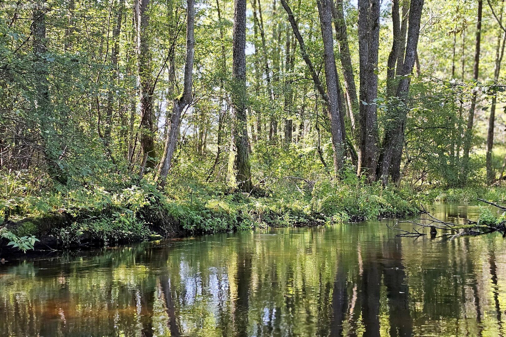 Land for sale Švenčionių rajono sav., Baliuliuose, Baliulių g.