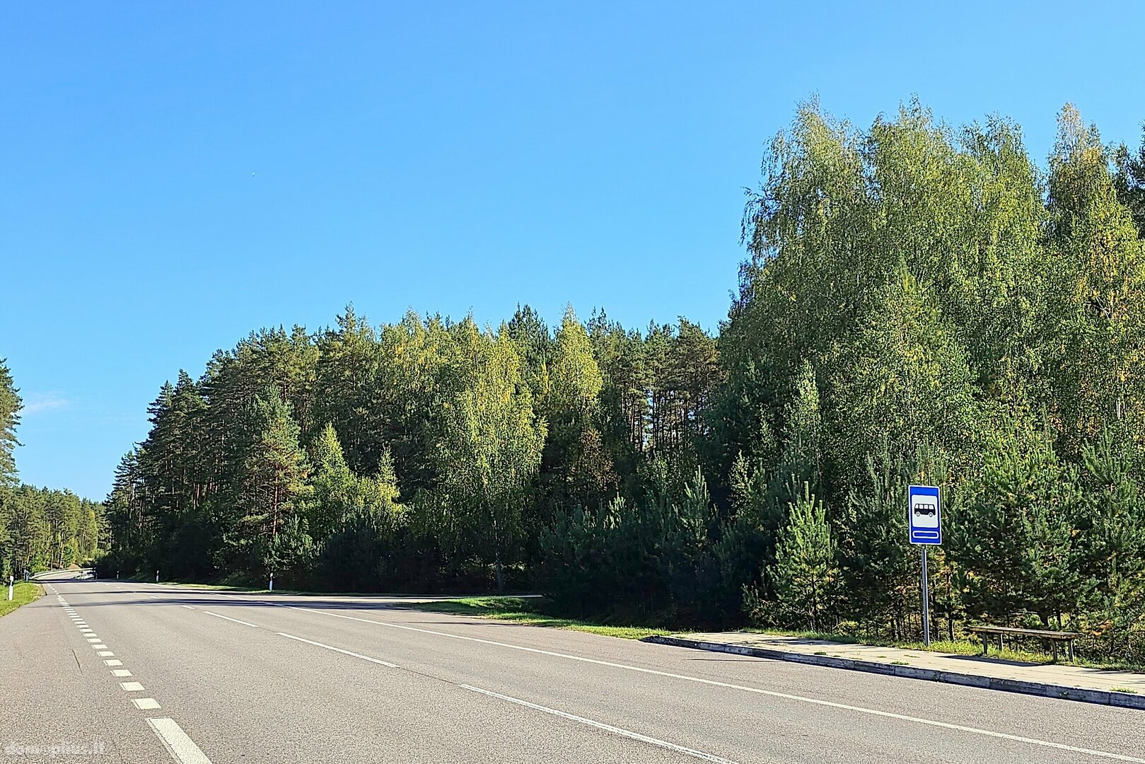 Land for sale Švenčionių rajono sav., Baliuliuose, Baliulių g.