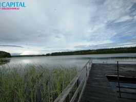 Parduodamas sklypas Druskininkų sav., Vileikiuose