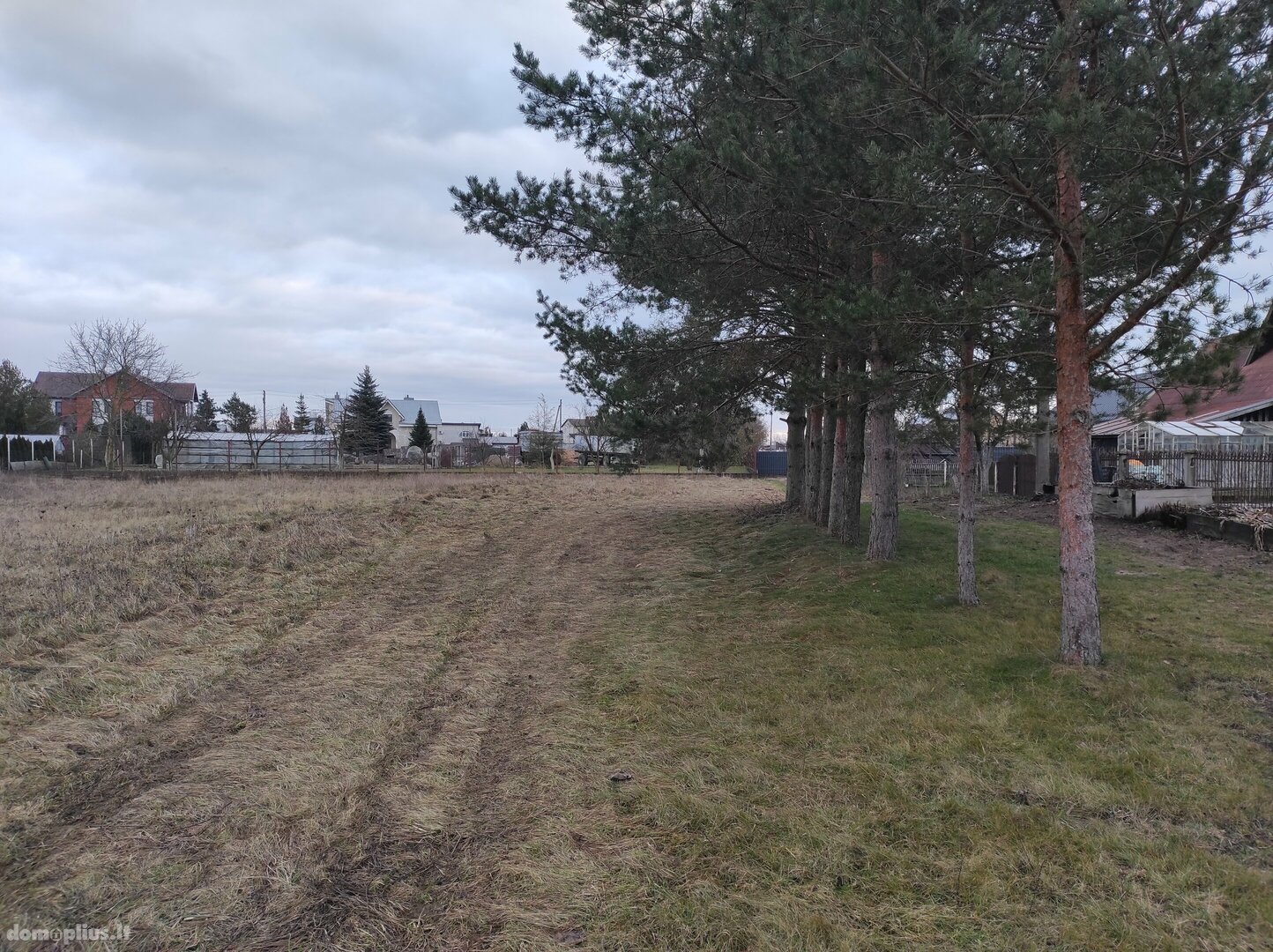 Parduodamas sklypas Panevėžio rajono sav., Molainiuose