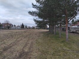 Sklypas Panevėžio rajono sav., Molainiuose
