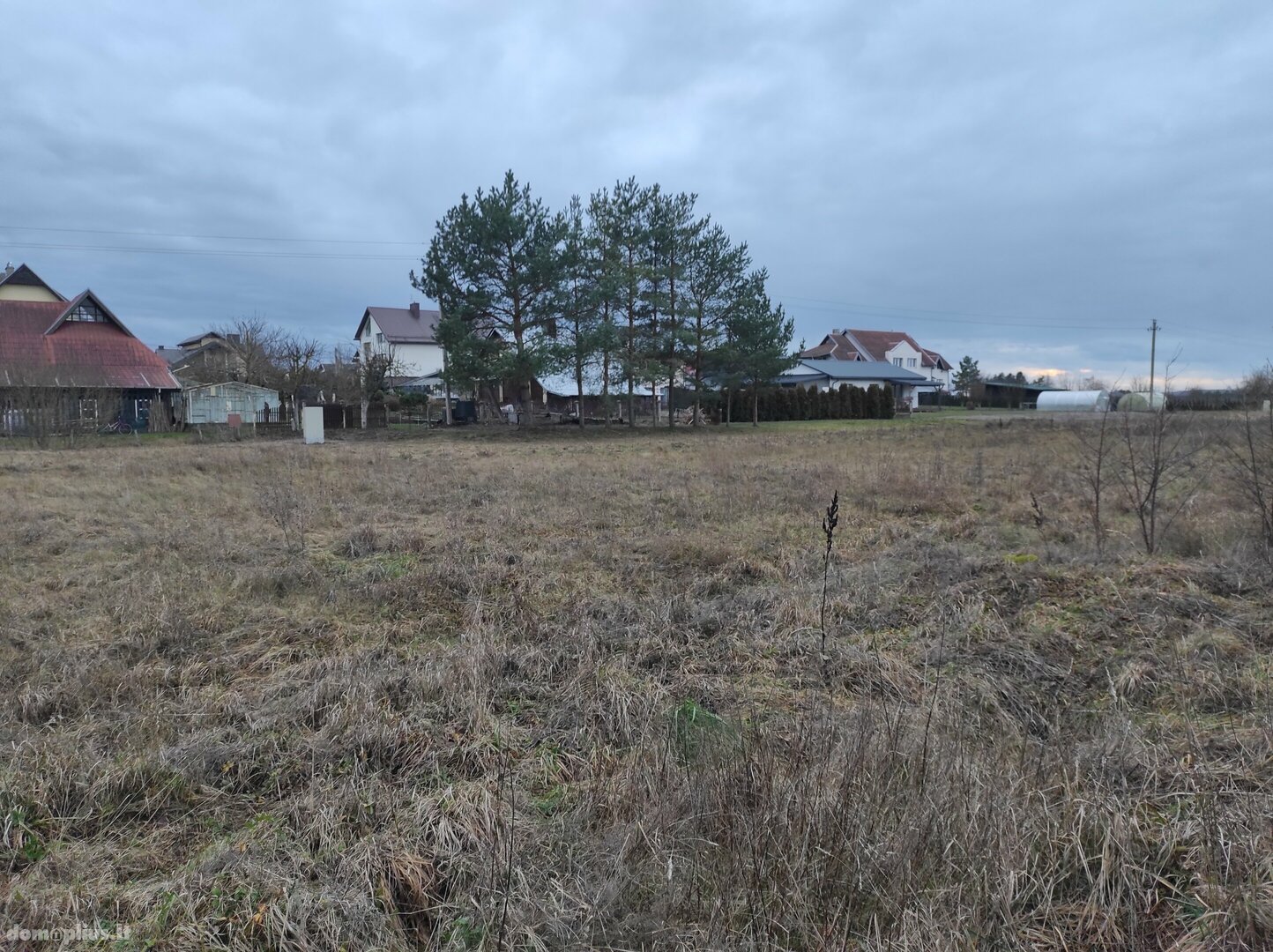 Участок Panevėžio rajono sav., Molainiuose