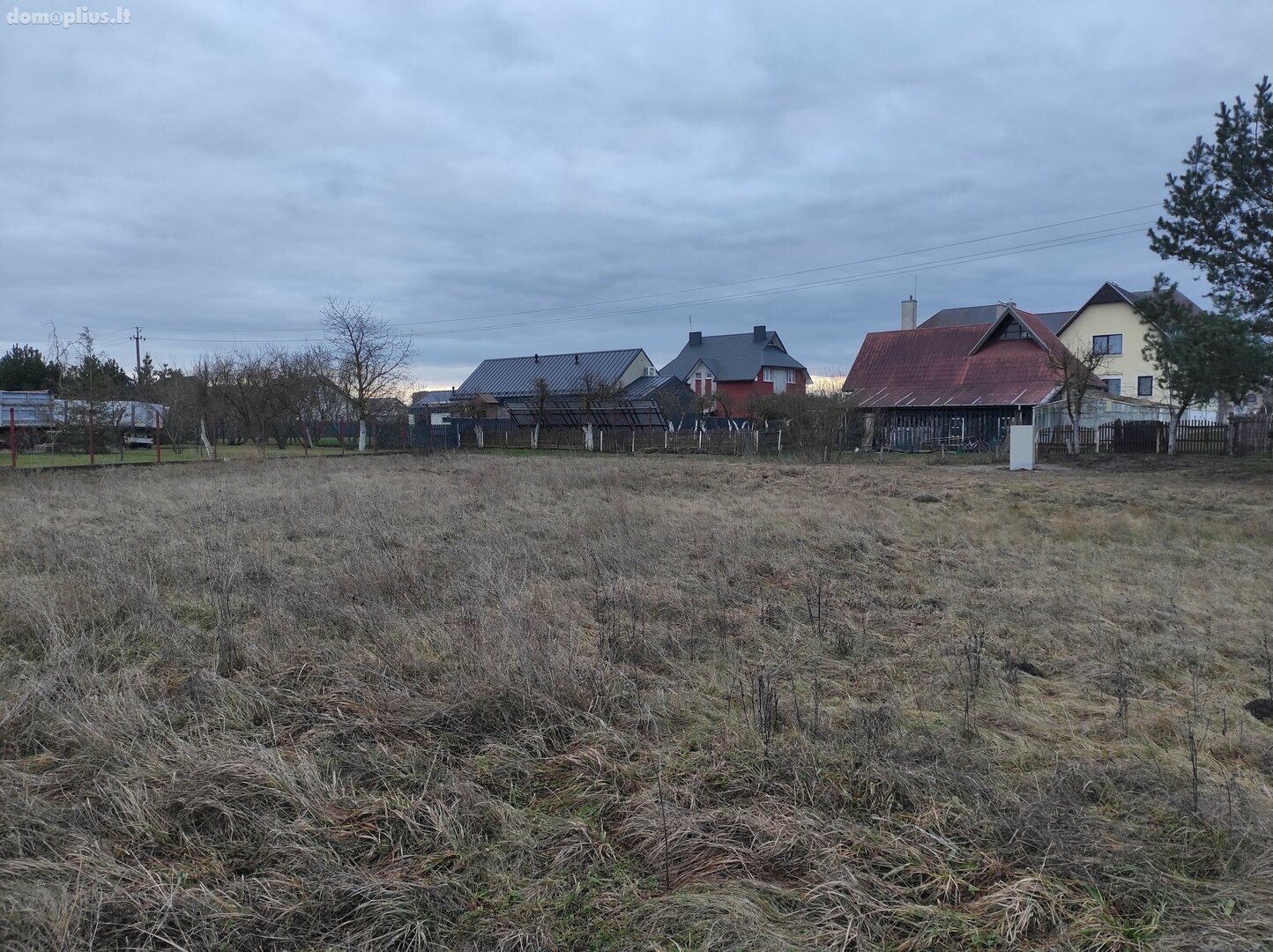 Участок Panevėžio rajono sav., Molainiuose