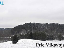 Parduodamas sklypas Ignalinos rajono sav., Bėčionyse