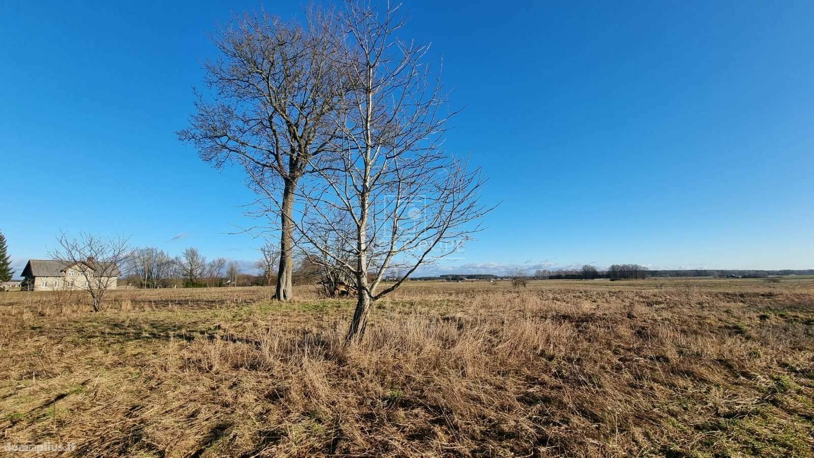 Parduodamas sklypas Šilutės rajono sav., Sakūtėliuose