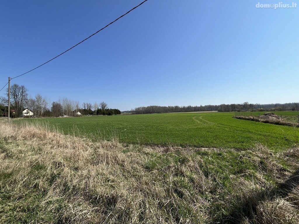Parduodamas sklypas Panevėžio rajono sav., Šilaičiuose