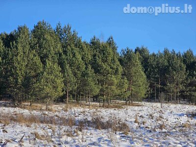 Land for sale Utenos rajono sav., Ažuprūdyje