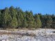 Land for sale Utenos rajono sav., Ažuprūdyje (1 picture)