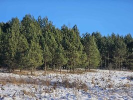 Land Utenos rajono sav., Ažuprūdyje