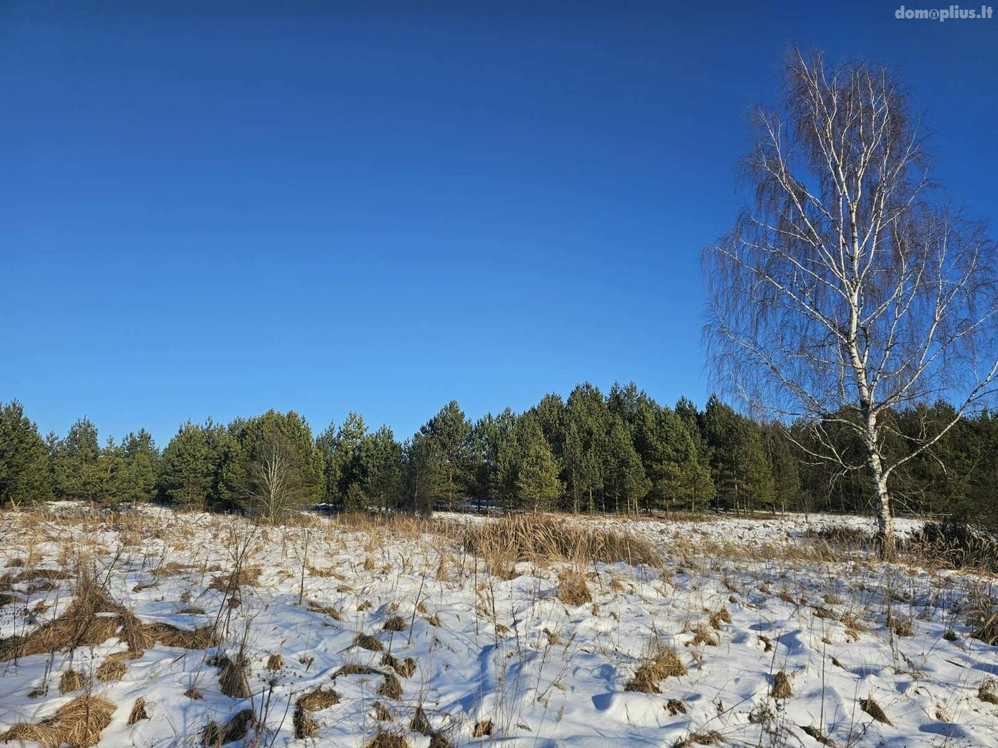 Parduodamas sklypas Utenos rajono sav., Ažuprūdyje