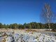 Land for sale Utenos rajono sav., Ažuprūdyje (2 picture)