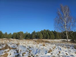 Land for sale Utenos rajono sav., Ažuprūdyje