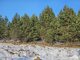 Land for sale Utenos rajono sav., Ažuprūdyje (3 picture)