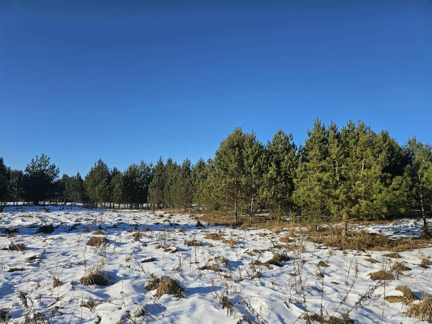 Parduodamas sklypas Utenos rajono sav., Ažuprūdyje