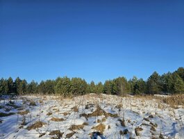 Land for sale Utenos rajono sav., Ažuprūdyje