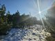 Land for sale Utenos rajono sav., Ažuprūdyje (6 picture)