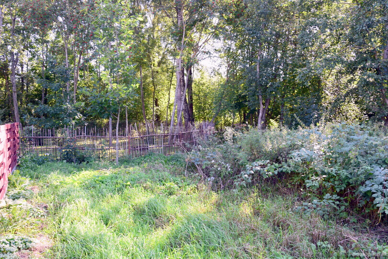 Parduodamas sklypas Šiaulių rajono sav., Verduliukuose
