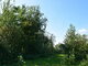 Land for sale Šiaulių rajono sav., Verduliukuose (10 picture)