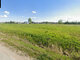 Land for sale Marijampolės sav., Pietariuose (5 picture)